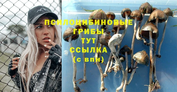 кокаин колумбия Снежногорск