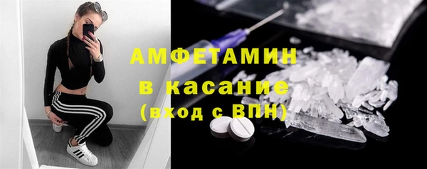 индика Слюдянка