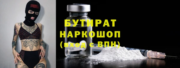 индика Слюдянка