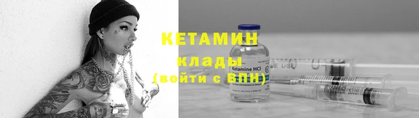 индика Слюдянка