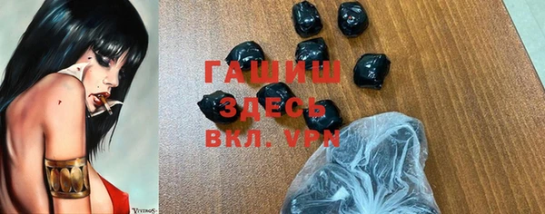 индика Слюдянка