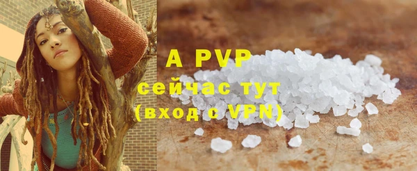 индика Слюдянка