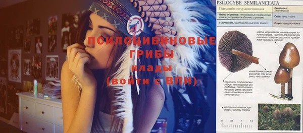 ALPHA PVP Снежинск