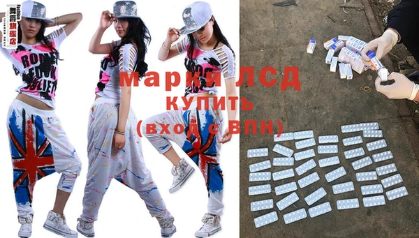 индика Слюдянка