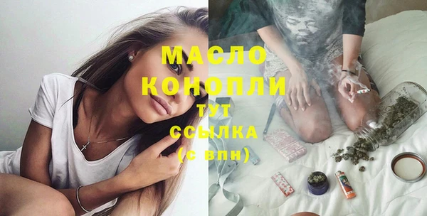 индика Слюдянка