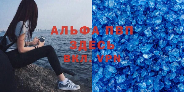индика Слюдянка