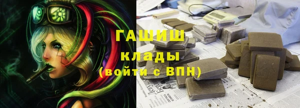 индика Слюдянка