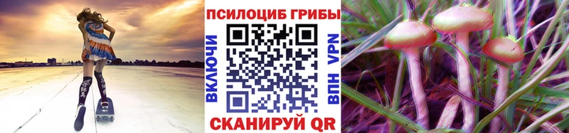 Галлюциногенные грибы Cubensis  Белово 
