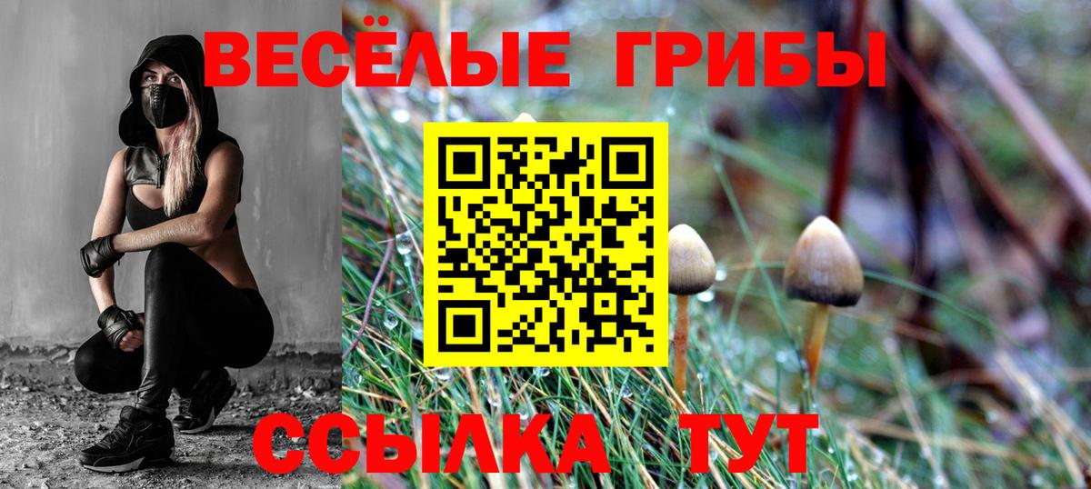 Псилоцибиновые грибы Psilocybine cubensis Белово