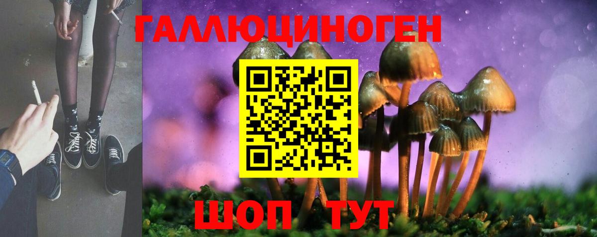 Псилоцибиновые грибы мухоморы  наркошоп  Вход с VPN  Белово  Галлюциногенные грибы Psilocybine cubensis 